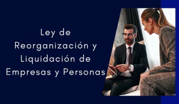 Ley de Reorganización y Liquidación de Empresas y Personas ¿qué novedades trae consigo?